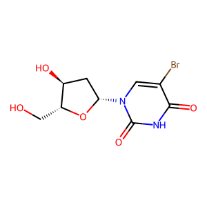 5-BrdU