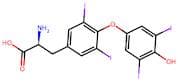 L-Thyroxine