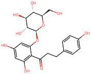 Phlorizin