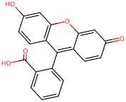 Fluorescein