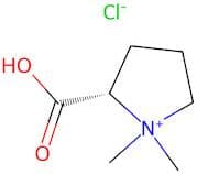 (S)-2-Carboxy-1,1-Dimethylpyrrolidin-1-Ium Chloride