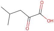 4-Methyl-2-Oxovaleric Acid