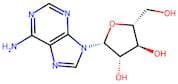 Adenine 9-β-D-arabinofuranoside