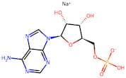 Adenosine 5?-Monophosphatesodiumsalt