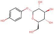 α-Arbutin