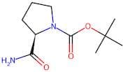 D-1-N-Boc-Prolinamide