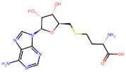 S-Adenosylhomocysteine