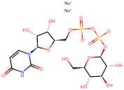 Uridine 5'-Diphosphoglucose Disodium Salt