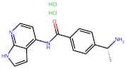 (R)-4-(1-Aminoethyl)-N-(1H-Pyrrolo[2,3-B]Pyridin-4-Yl)Benzamide Dihydrochloride