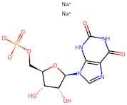 Xanthosine 5Õ-monophosphate