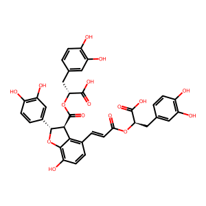 Salvianolic Acid B