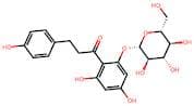 Phlorizin
