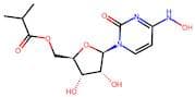 Molnupiravir (EIDD-2801)