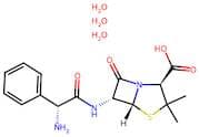 Ampicillin trihydrate