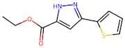 Ethyl 3-(thien-2-yl)-1H-pyrazole-5-carboxylate