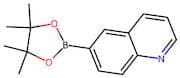 Quinoline-6-boronic acid, pinacol ester