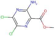 Methyl 3-amino-5,6-dichloropyrazine-2-carboxylate