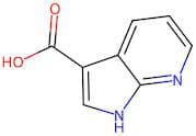7-Azaindole-3-carboxylic acid