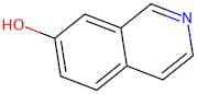 7-Hydroxyisoquinoline