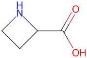 Azetidine-2-carboxylic acid