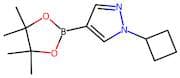 1-Cyclobutyl-1H-pyrazole-4-boronic acid pinacol ester