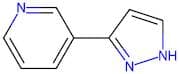 3-(1H-Pyrazol-3-yl)pyridine