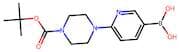6-(4-N-BOC-piperazine-1-yl)-3-pyridinyl boronic acid