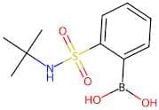 2-(tert-Butylamino)sulfonylphenylboronic acid