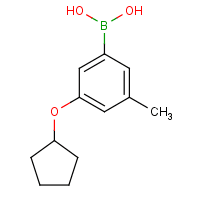 3-(Cyclopentyloxy)-5-methylphenylboronic acid