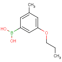 3-Methyl-5-propoxyphenylboronic acid