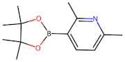 2,6-Dimethylpyridine-3-boronic acid Pinacol Ester