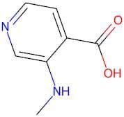 3-(Methylamino)isonicotinic acid