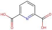 Pyridine-2,6-dicarboxylic acid