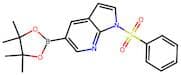 1-(Phenylsulfonyl)-5-(4,4,5,5-tetramethyl-1,3,2-dioxaborolan-2-yl)-1H-pyrrolo[2,3-b]pyridine