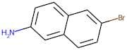 2-Amino-6-bromonaphthalene