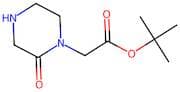 tert-Butyl 2-(2-oxopiperazin-1-yl)acetate
