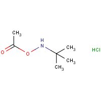 O-Acetyl-N-tert-butylhydroxylamine hydrochloride