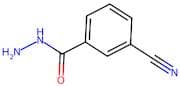 3-Cyanobenzohydrazide