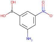 3-Amino-5-nitrobenzeneboronic acid