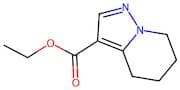 4,5,6,7-Tetrahydro-pyrazolo[1,5-a]pyridine-3-carboxylic acid ethyl ester