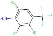 2,3,6-Trichloro-4-(trifluoromethyl)aniline