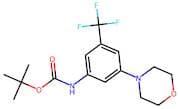 (3-Morpholin-4-yl-5-trifluoromethyl-phenyl)-carbamic acid tert-butyl ester