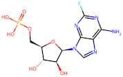 Fludarabine Phosphate
