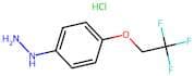 4-(2,2,2-Trifluoroethoxy)phenylhydrazine hydrochloride