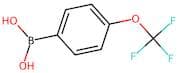 4-(Trifluoromethoxy)benzeneboronic acid