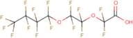 Perfluoro-3,6-dioxadecanoic acid