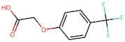 4-(Trifluoromethyl)phenoxyacetic acid
