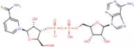 β-Thionicotinamide adenine dinucleotide, oxidised form