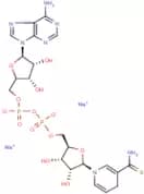 β-Thionicotinamide adenine dinucleotide, reduced form disodium salt