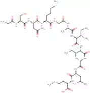 Amyloid β Protein fragment 25-35